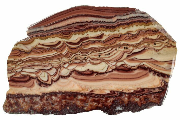 Polished Slab Of Rolling Hills Dolomite - Mexico #316671